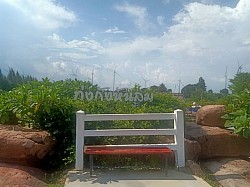 ทุ่งกังหันลม