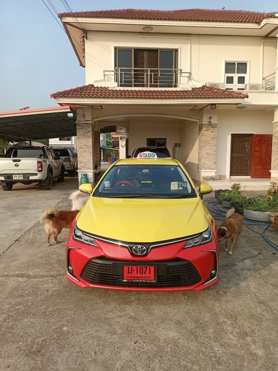 รถที่ใช้งานเป็น toyota altis 2025
